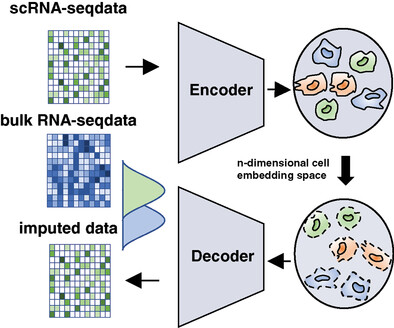 Distribution-Agnostic Deep Learning Enables Accurate Single-Cell Data Recovery and Transcriptional Regulation Interpretation
