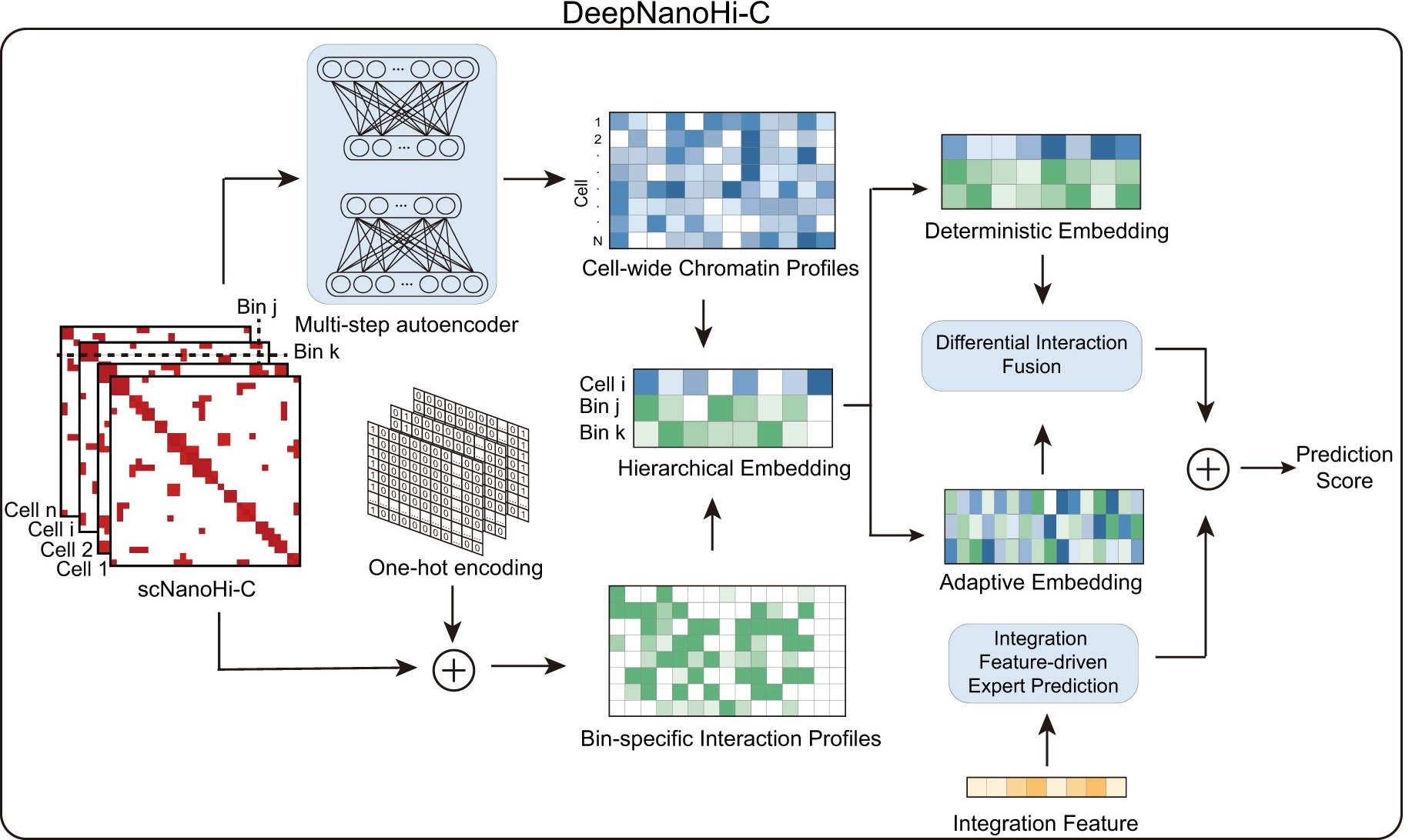 DeepNanoHi-C: deep learning enables accurate single-cell nanopore long-read data analysis and 3D genome interpretation