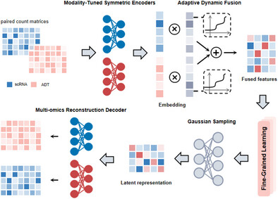 Dynamic Synthesis of Multi-Modal Representations for CITE-seq Data Integration and Analysis